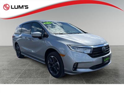 2024 Honda Odyssey Elite