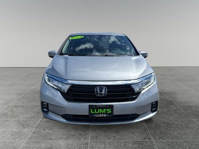 2024 Honda Odyssey Elite
