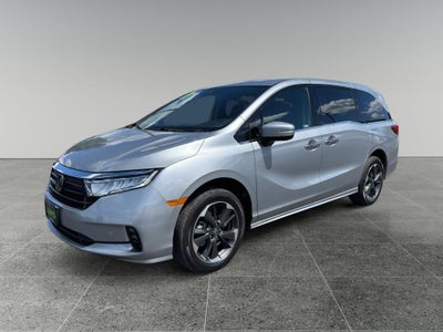 2024 Honda Odyssey Elite